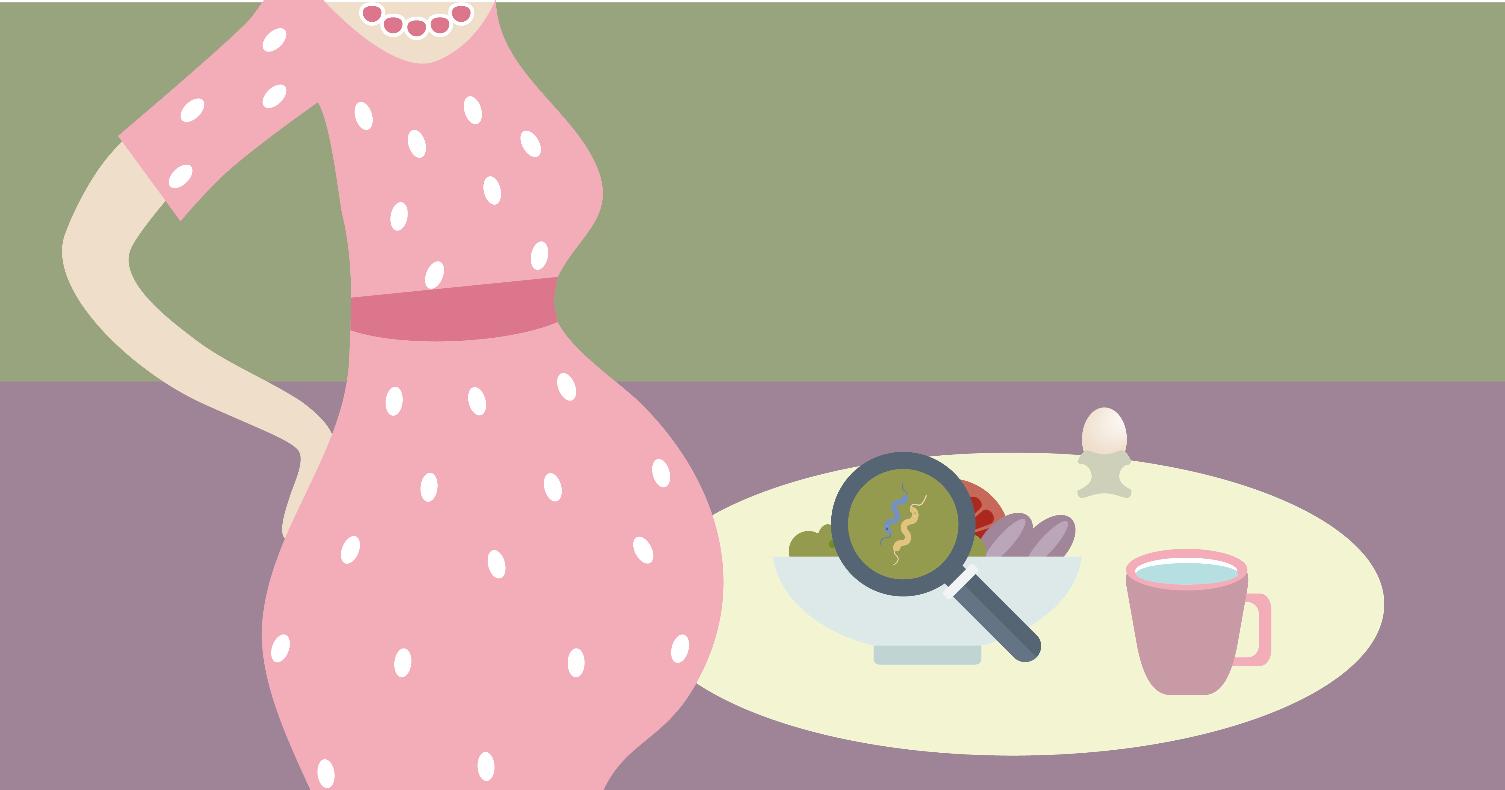 Curated visual reference: Deli Food Campylobacter Risks Pregnancy Reference: Campylobacter Campylobacteriosis Risk From Food During Pregnancy